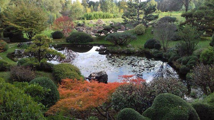naturopathe romans sur isere
