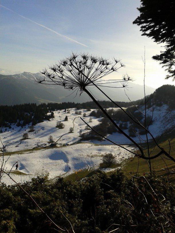 naturopathe romans sur isere